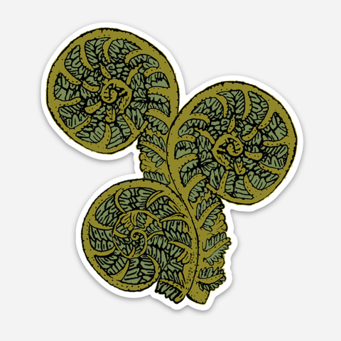 Fiddlehead Fern sticker