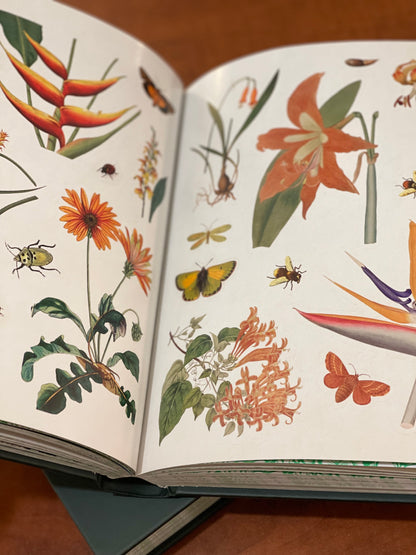 The Botanist's Sticker Anthology