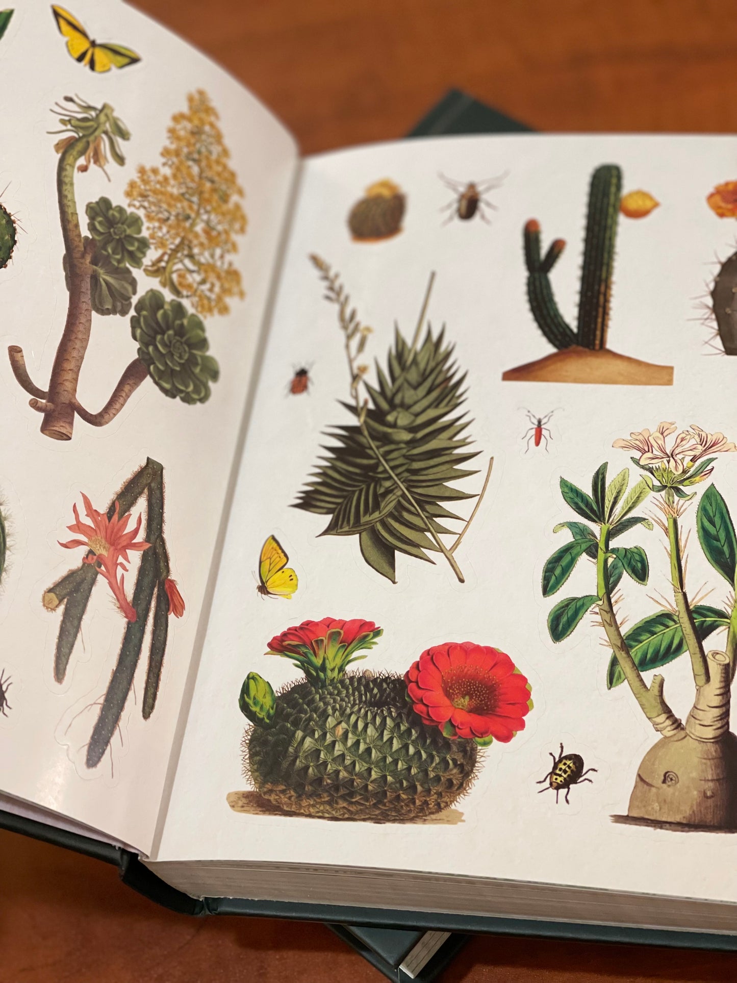 The Botanist's Sticker Anthology