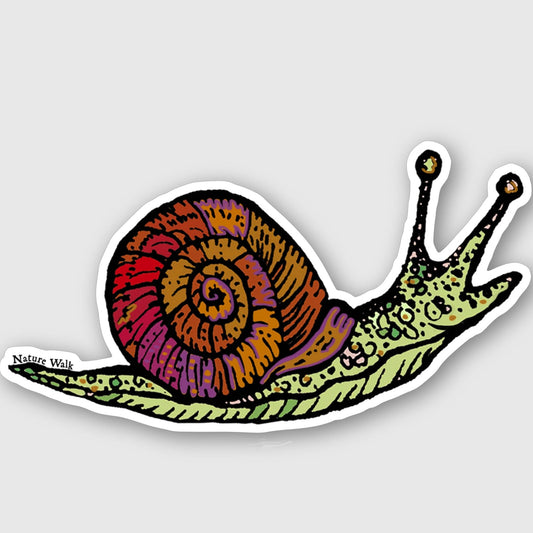 Snail sticker