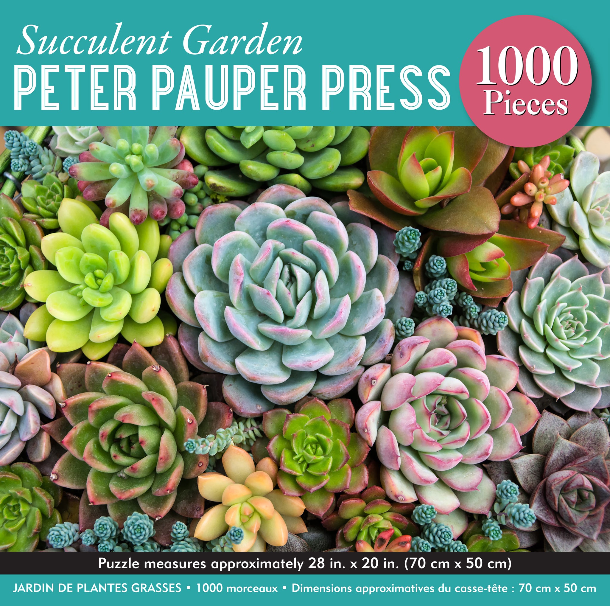 Succulent Garden puzzle 1000pc