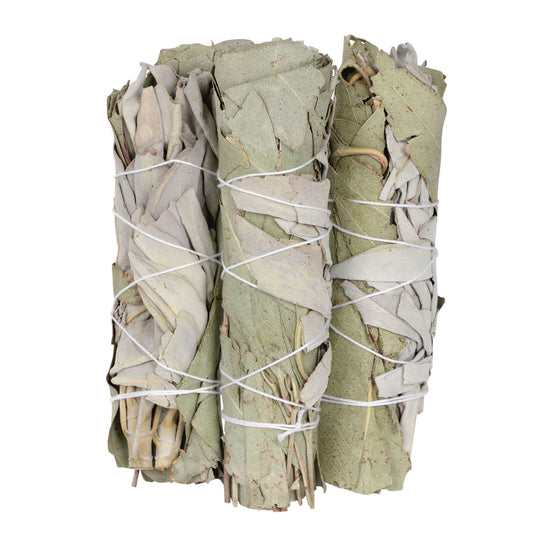 Eucalyptus and White Sage bundles